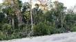 CAYMAN BRAC CENTRAL LAND