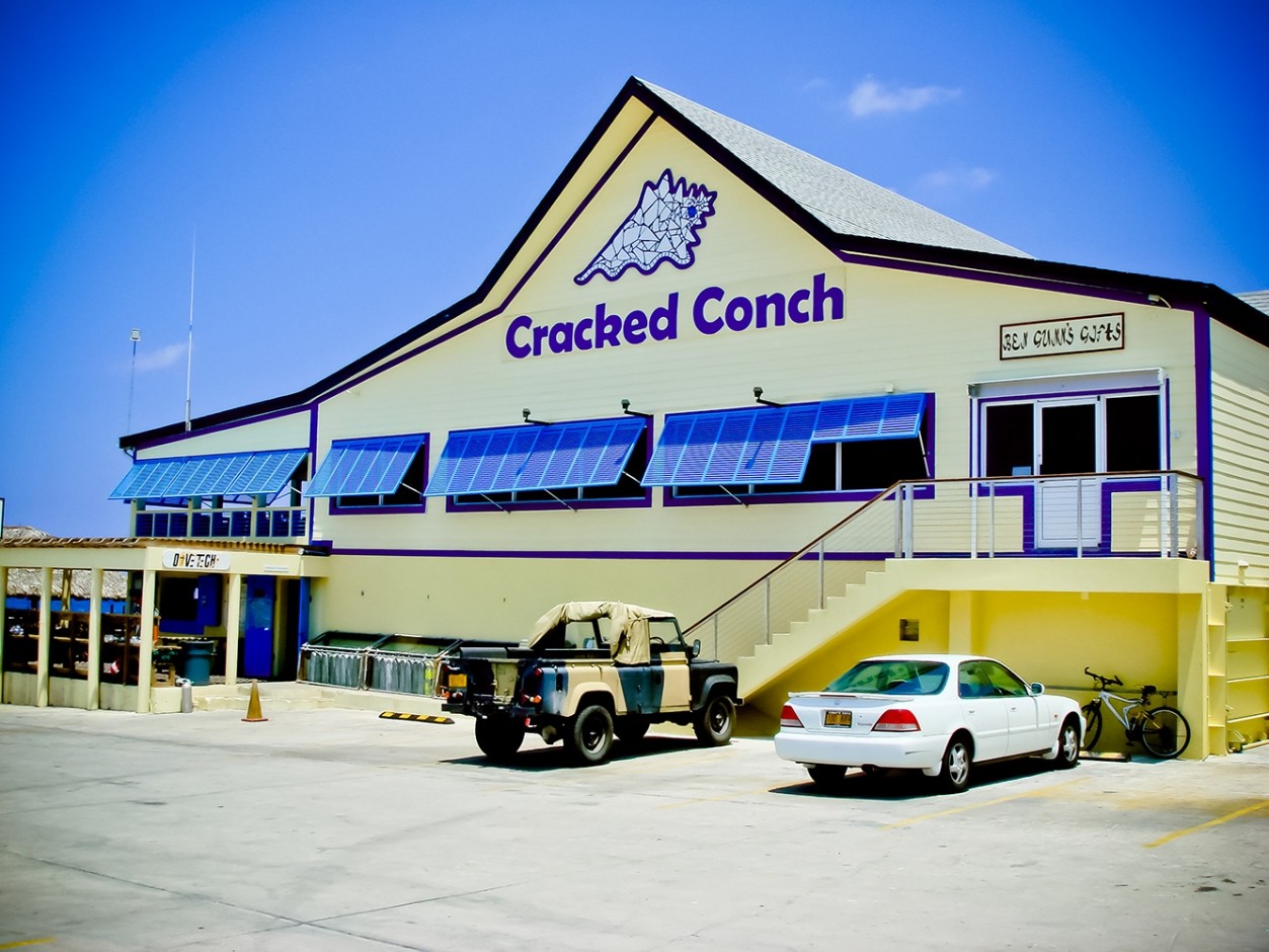 Cracked Conch