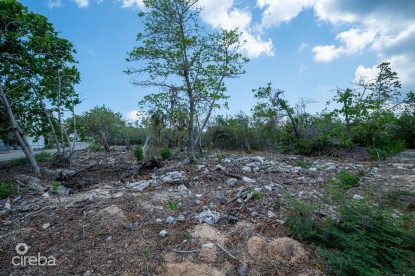 CAYMAN BRAC LAND, RYAN DR. CAYMAN BRAC LAND, RYAN DR.