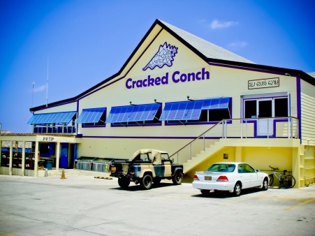 Cracked Conch