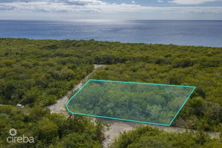 CAYMAN BRAC SELWORTHY GROVE LAND PARCEL CAYMAN BRAC SELWORTHY GROVE LAND PARCEL