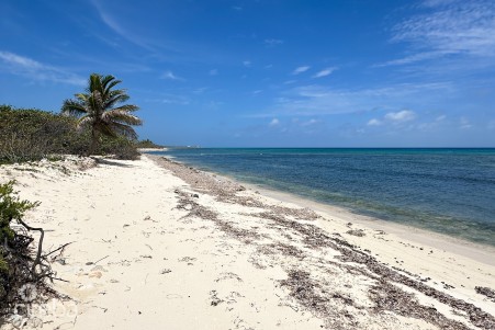 OCEAN FRONT LAND LITTLE CAYMAN OCEAN FRONT LAND LITTLE CAYMAN