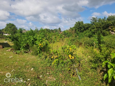 MIDLAND ACRES HOUSE LOT - BRING OFFERS!