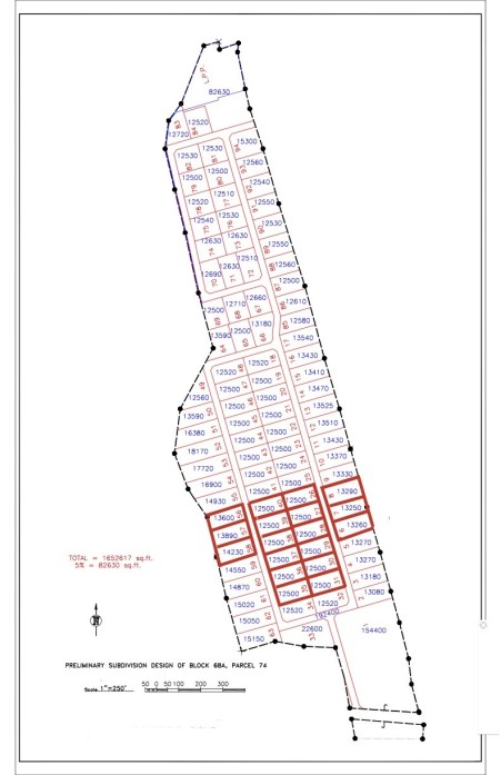 THE BLOW HOLES LOT #17