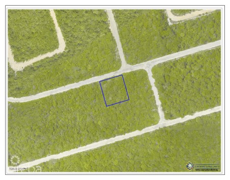 SELWORTHY GROVES LOT, CAYMAN BRAC BLUFF