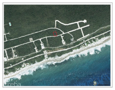 CAYMAN BRAC LAND - BOOBY BIRD DVE