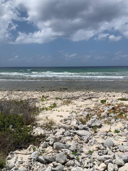 NORTHSIDE OCEAN FRONT AND INLAND PROPERTY