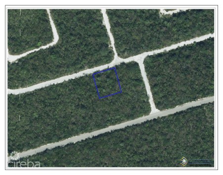 CAYMAN BRAC LOT ON BLUFF AT SELWORTHY GROVES