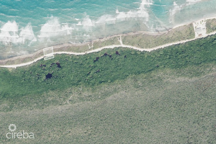OCEAN FRONT LAND LITTLE CAYMAN
