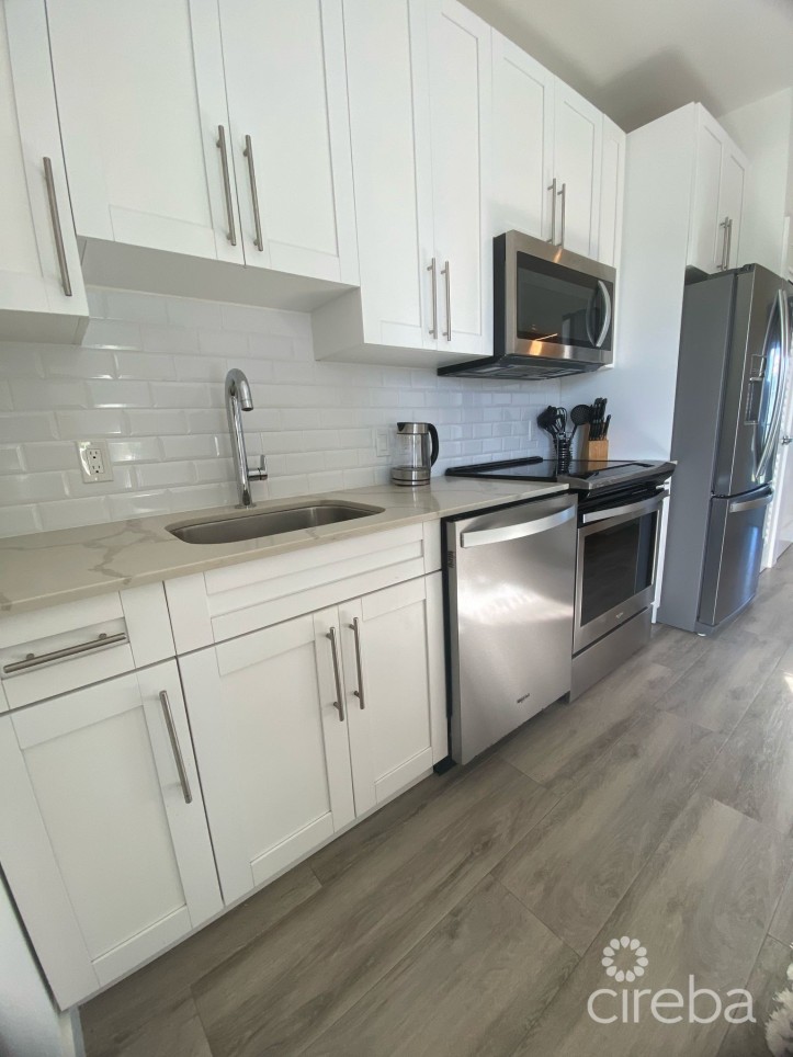 19 NORTH 1 BED RENOVATED WITH LAKE VIEW