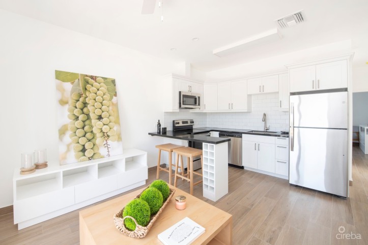 SEA MIST CONDOS UNIT 101 - DEVELOPER FINANCING