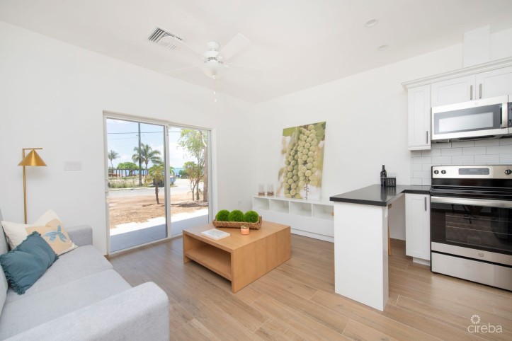 SEA MIST CONDOS UNIT 101 - DEVELOPER FINANCING