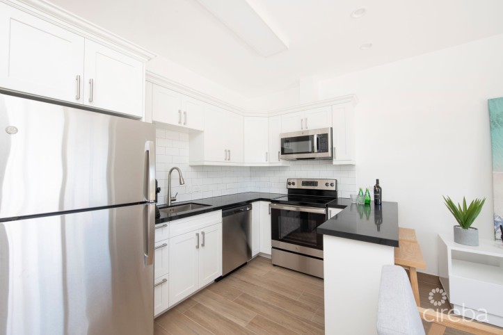 SEA MIST CONDOS  UNIT102 - DEVELOPER FINANCING