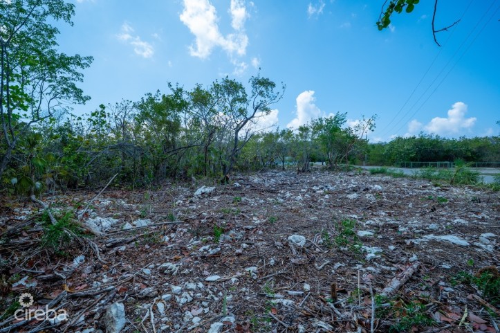 CAYMAN BRAC LAND, RYAN DR.