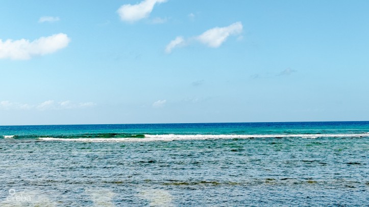 OCEANFRONT LAND LITTLE CAYMAN 