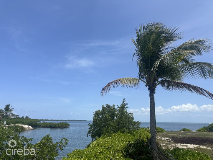 THE SHORES CANAL FRONT 0.4459ACRES - PRIME LOCATION