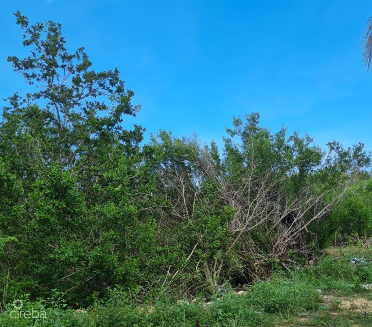 .3 ACRE LOT NORTH SIDE