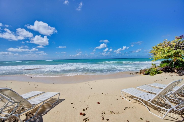 GRAPETREE CONDO ON SEVEN MILE BEACH