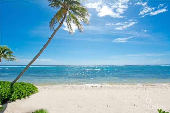 CARIBBEAN PARADISE 2