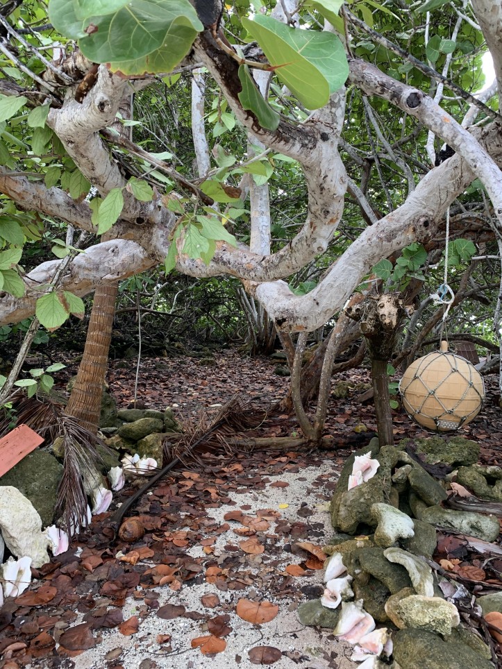 SOON COME - SOUTH SIDE EAST OCEAN FRONT LAND