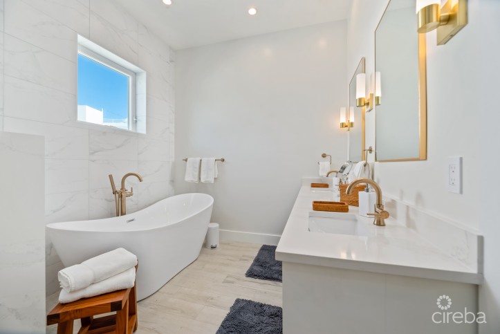 BOGGY SANDS CLUB TURTLE 2