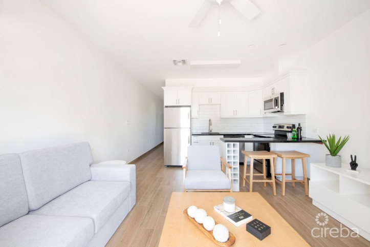 SEA MIST CONDOS  UNIT102 - DEVELOPER FINANCING