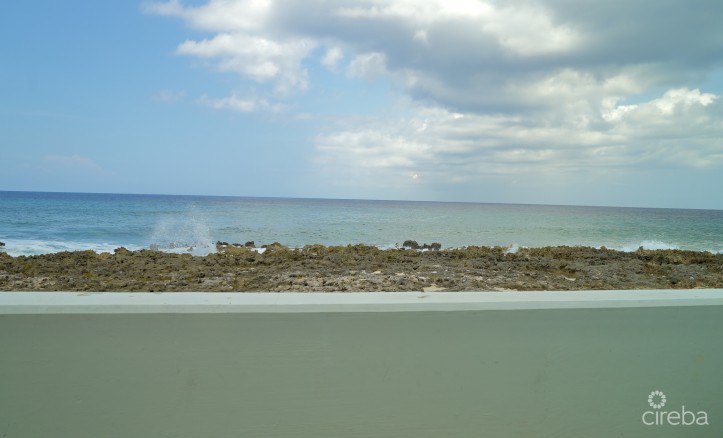 WINDSOR VILLAGE APT. 30