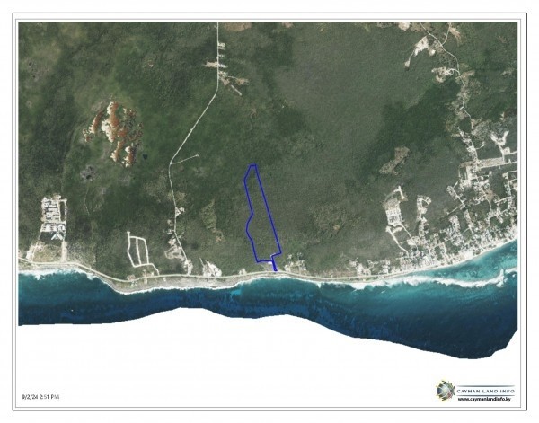 THE BLOW HOLES LOT #10