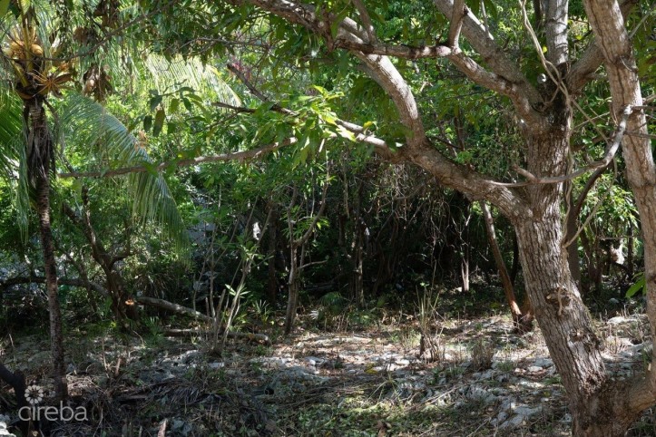 EXCEPTIONAL CORNER LOT IN PRIME CAYMAN BRAC LOCATION - READY TO BUILD