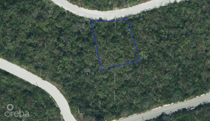 CAYMAN BRAC BLUFF HOUSE LOT (0 .2472 ACRE) 84' ELEVATION