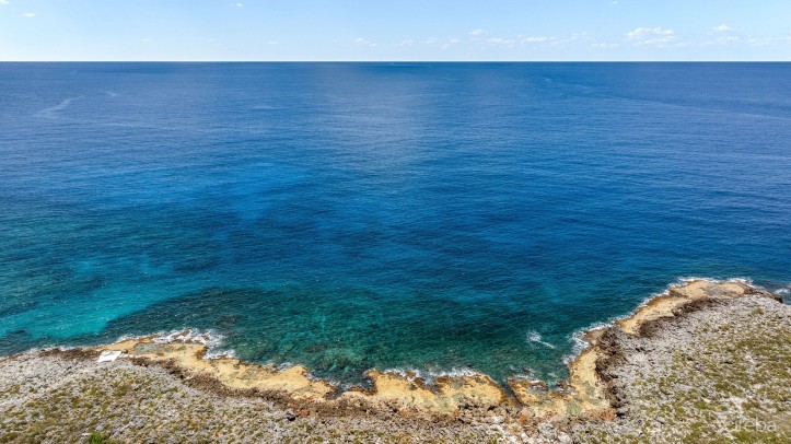 SAVANNAH OCEANFRONT 3 ACRE ESTATE