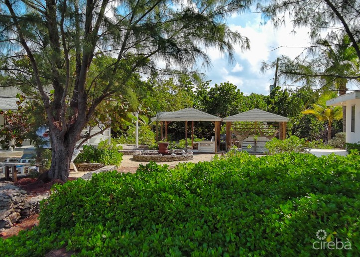 MR. V'S POSTO AL SOLE