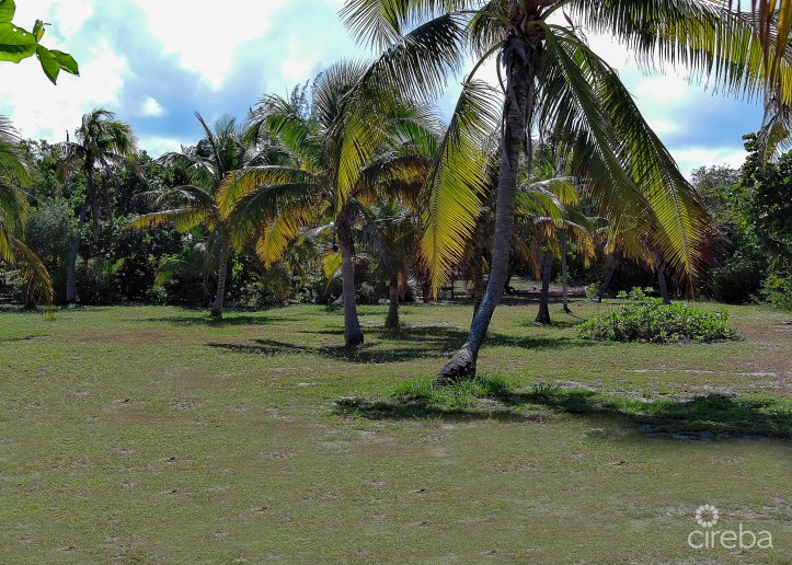 MR. V'S POSTO AL SOLE