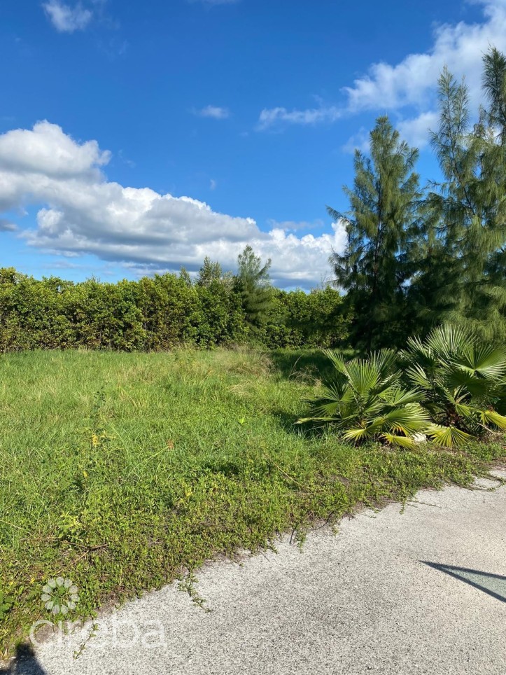 PEASE BAY LAKES LAKEFRONT LOT