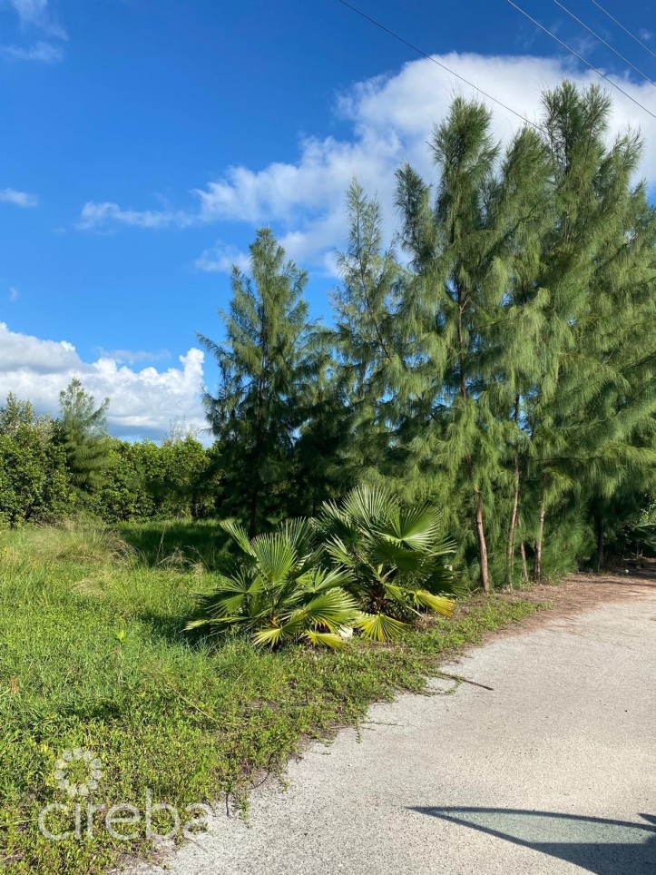 PEASE BAY LAKES LAKEFRONT LOT