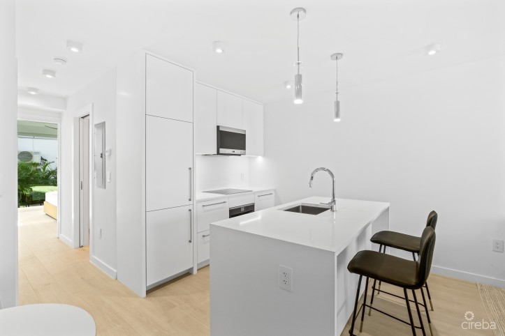 BEACHFRONT CONDO ISLAND PINE VILLAS