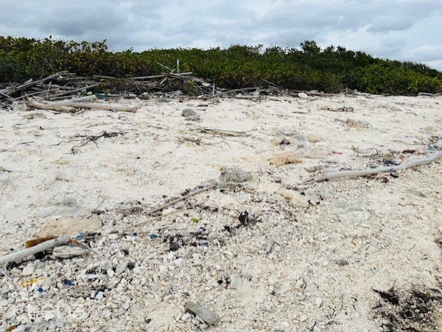 BEACHFRONT LAND LITTLE CAYMAN