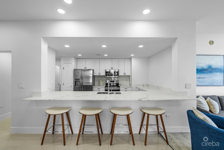 TURTLE COVE AT SNUG HARBOUR - A TURNKEY SHORT TERM MASTERPIECE POWER BY AI