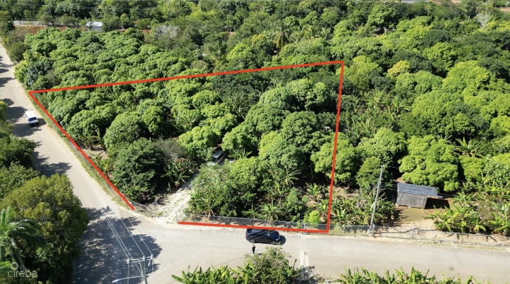 RARE 1-ACRE FARM PARADISE IN UP-AND-COMING HIGH ROCK - EAST END'S HOTTEST FARMING LOCATION