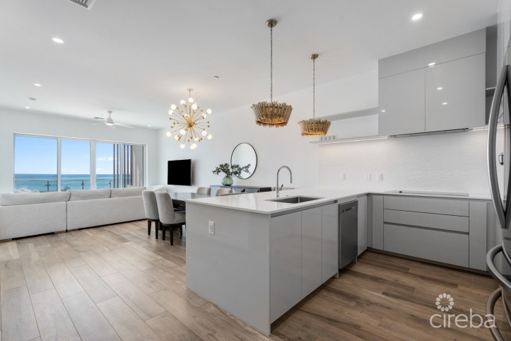 AURA PENTHOUSE #404
