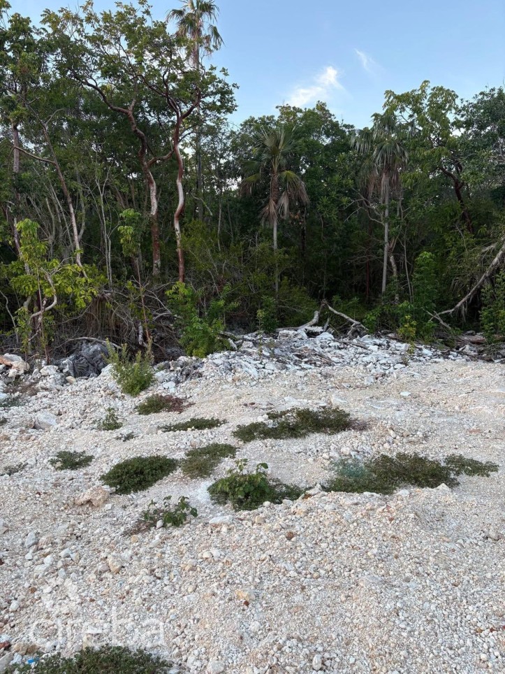EAST END PARCEL