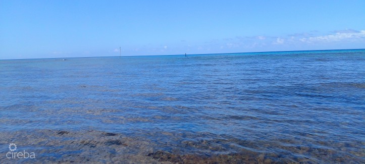 VIDA VISTAS