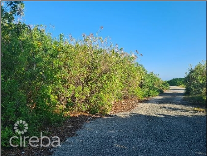 HIGH ROCK DEVELOPMENT LAND
