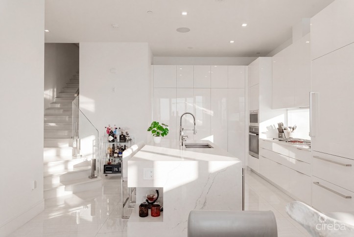 THREE-LEVEL OCEANFRONT FIN PENTHOUSE  #30 PLUS 2 GARAGES