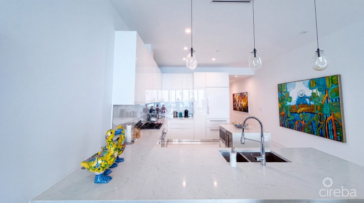 FIN 11 - OCEANFRONT CONDO