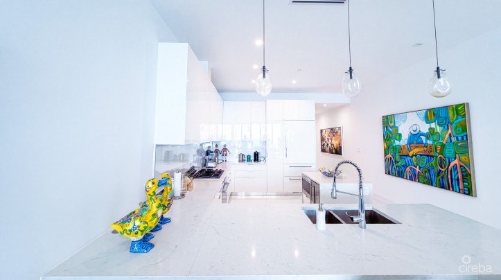 FIN 11 - OCEANFRONT CONDO