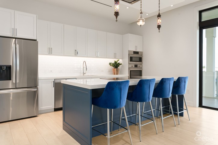 OLEA 3 BEDROOM PENTHOUSE
