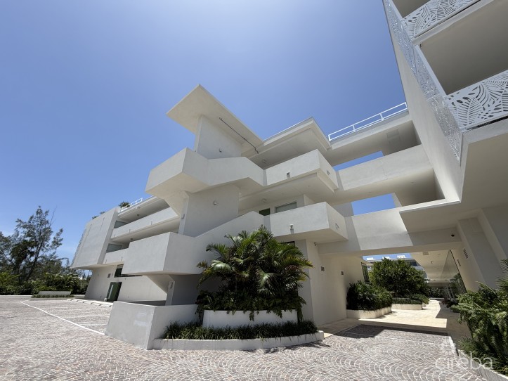 GROVE TOO  COMMERCIAL OFFICE SPACE - RARE CORNER LOCATION
