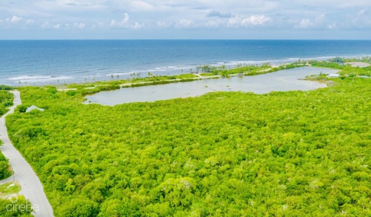 ALEXANDER GROVE SUBDIVISION - CAYMAN BRAC - POND LOT 2