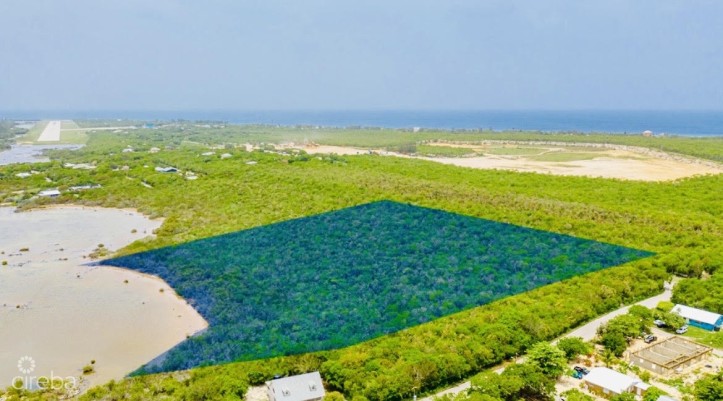 ALEXANDER GROVE SUBDIVISION - CAYMAN BRAC - POND LOT 2
